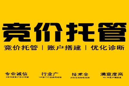 SEM代理助力企业：成功案例分析